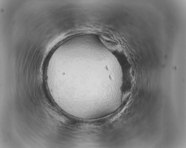 X0000087380246200705111742