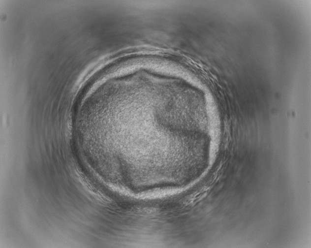 X0000087380247200705111742