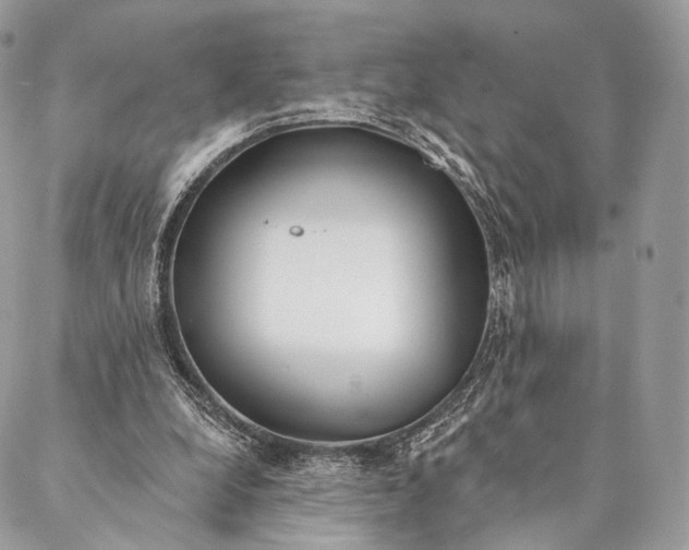 X0000087380248200705111742