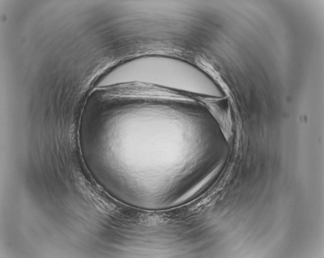 X0000087380249200705111743