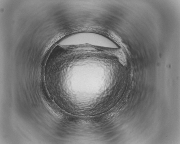 X0000087380250200705111743