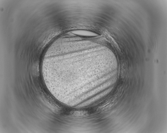 X0000087380251200705111743