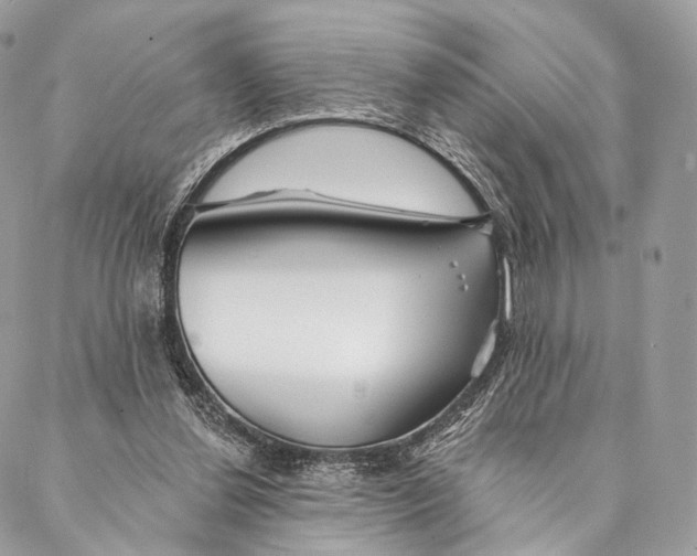 X0000087380252200705111743