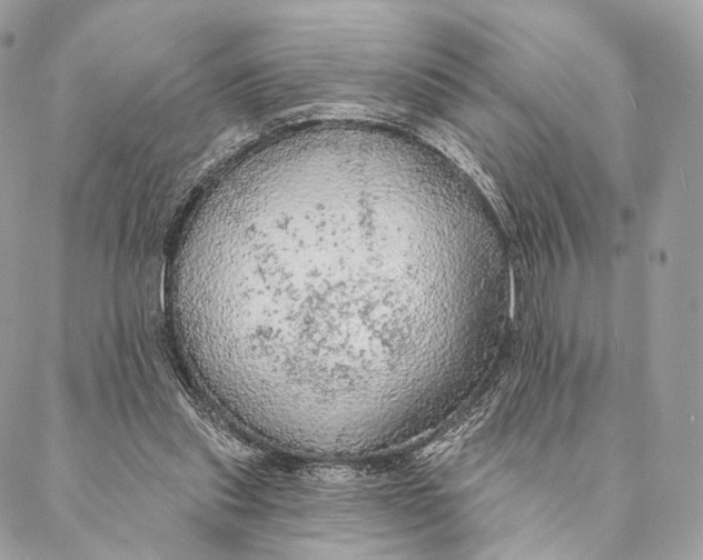 X0000087380253200705111743