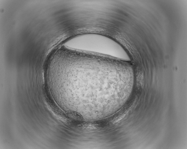 X0000087380254200705111743