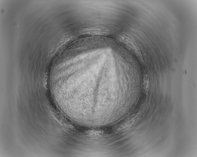 X0000087380255200705111743