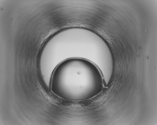 X0000087380256200705111743