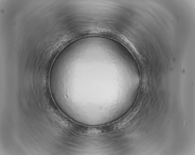 X0000087380257200705111743