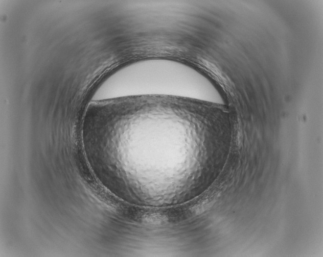 X0000087380258200705111743