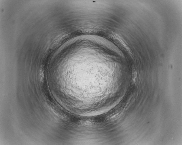 X0000087380259200705111743