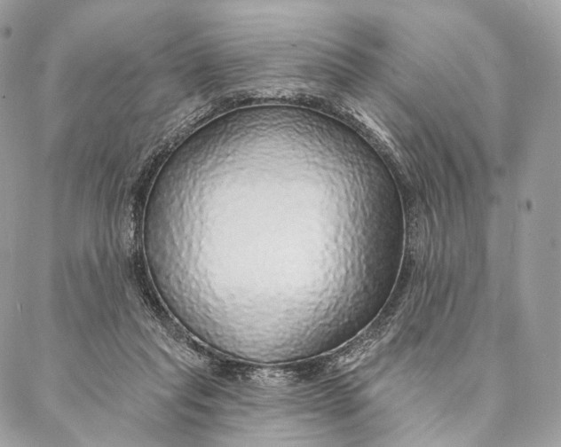 X0000087380261200705111743