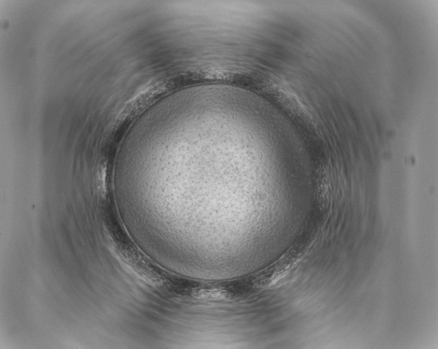 X0000087380262200705111743