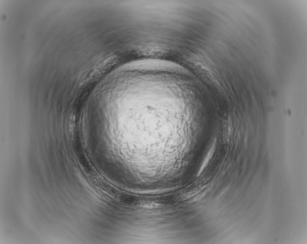 X0000087380263200705111743