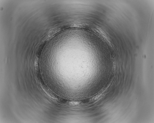 X0000087380265200705111743