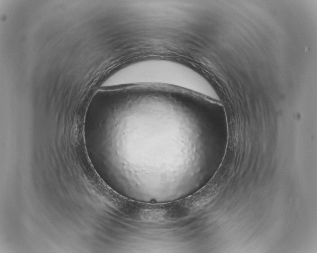 X0000087380266200705111743