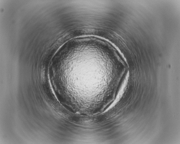 X0000087380267200705111743