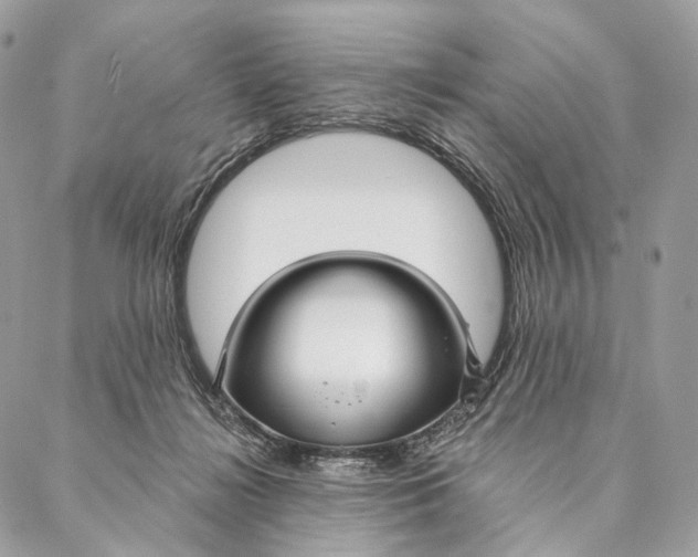 X0000087380268200705111743