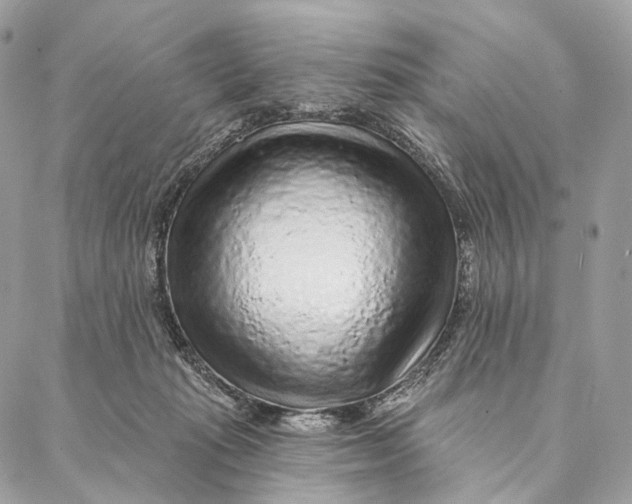 X0000087380269200705111743