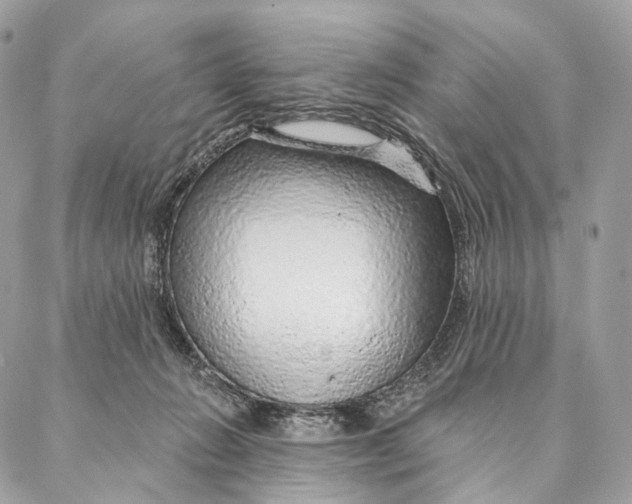 X0000087380270200705111743