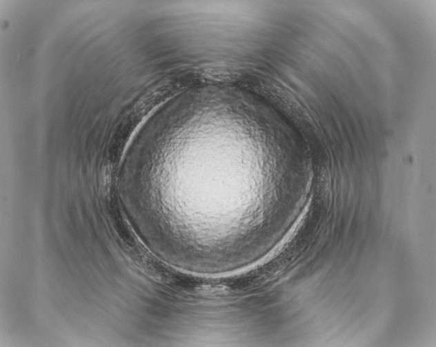 X0000087380271200705111743