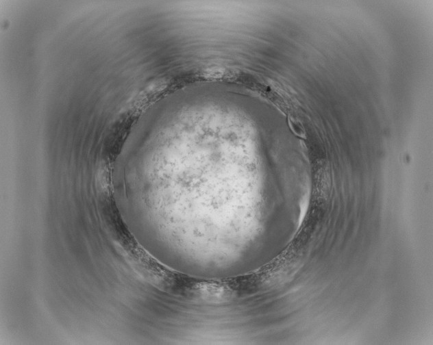 X0000087380272200705111743