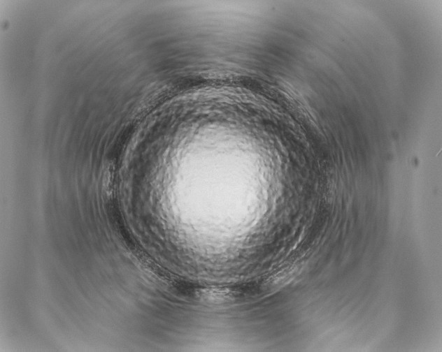 X0000087380273200705111743