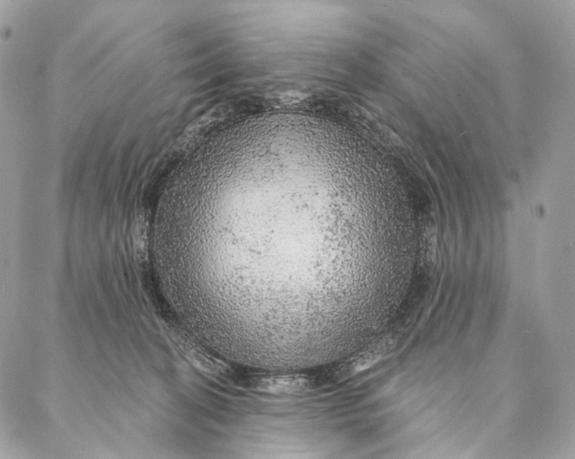 X0000087380274200705111743