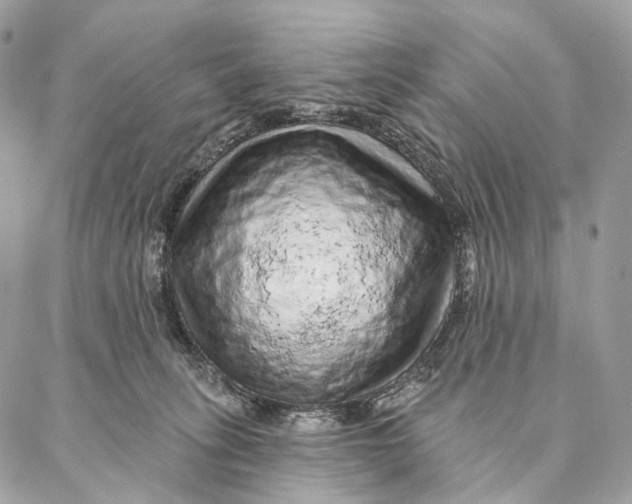 X0000087380275200705111743