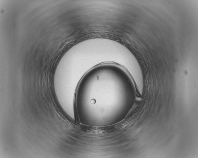 X0000087380276200705111743