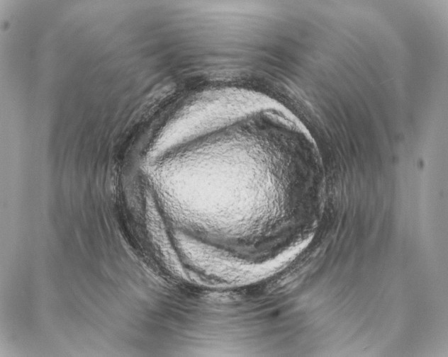 X0000087380277200705111743