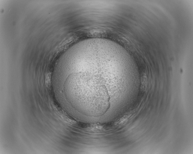 X0000087380278200705111743