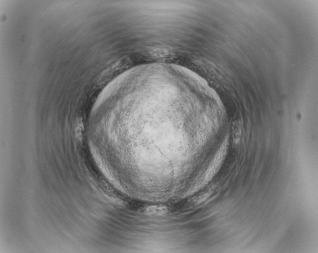 X0000087380279200705111743