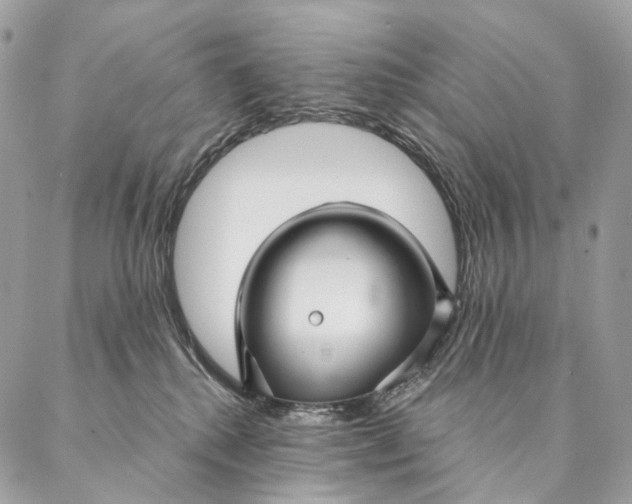 X0000087380280200705111743