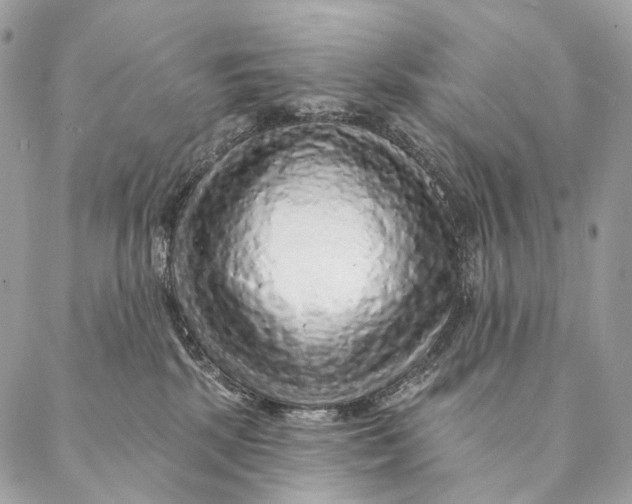 X0000087380281200705111743