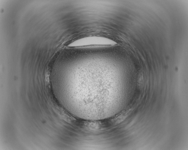 X0000087380282200705111743