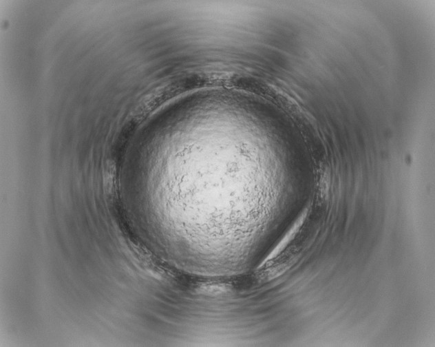 X0000087380283200705111743