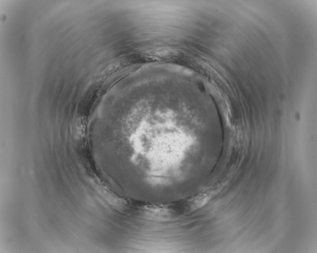 X0000087380284200705111743