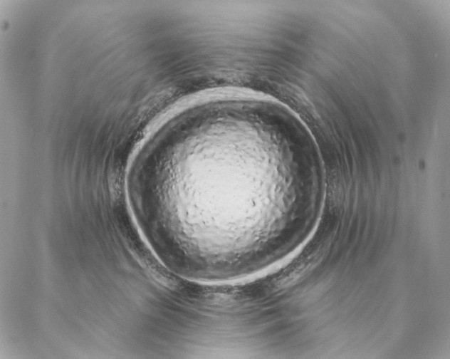 X0000087380285200705111743