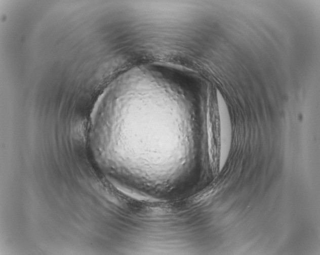 X0000087380286200705111743