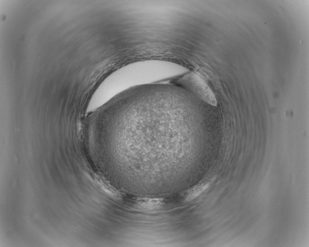 X0000087380288200705111743