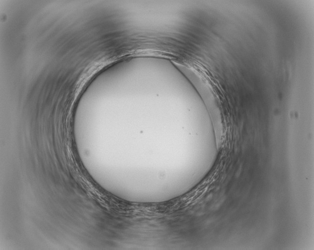 X0000087380289200705111742