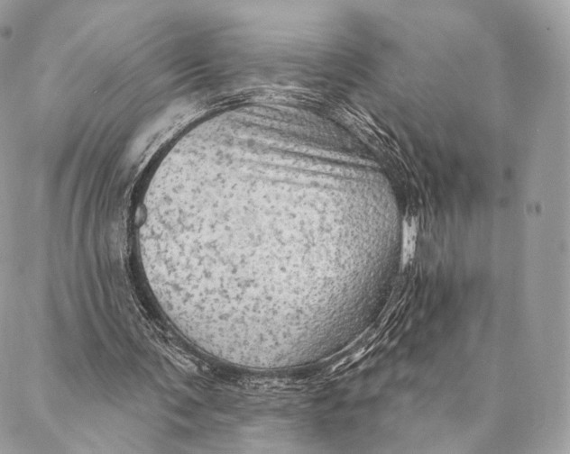 X0000087380291200705111742