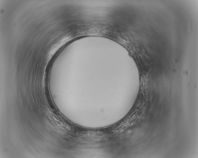 X0000087380292200705111742