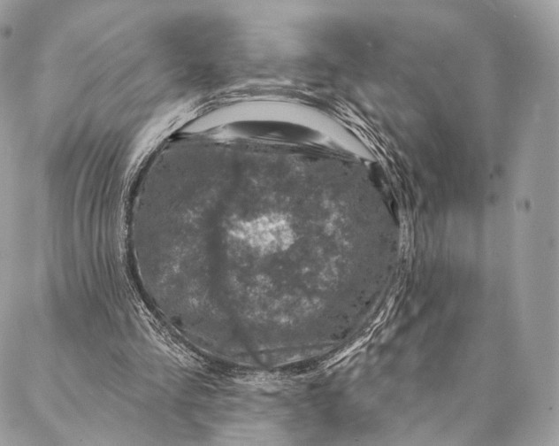 X0000087380293200705111742