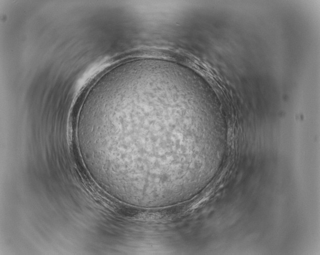 X0000087380294200705111742