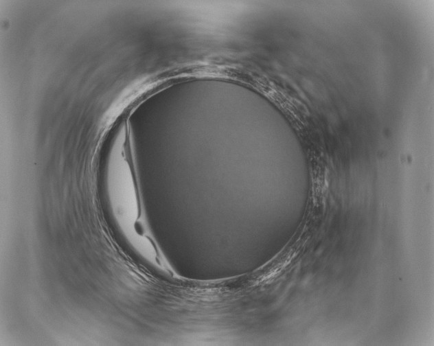 X0000087380295200705111742