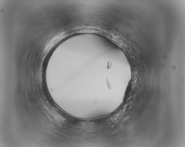 X0000087380296200705111742