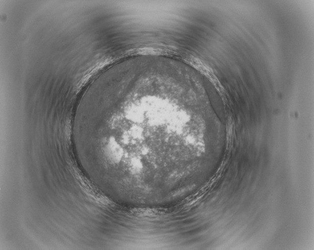 X0000087380297200705111742