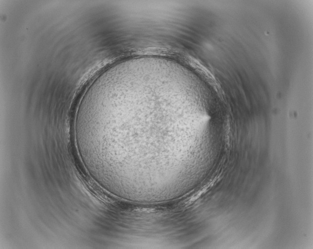 X0000087380298200705111742