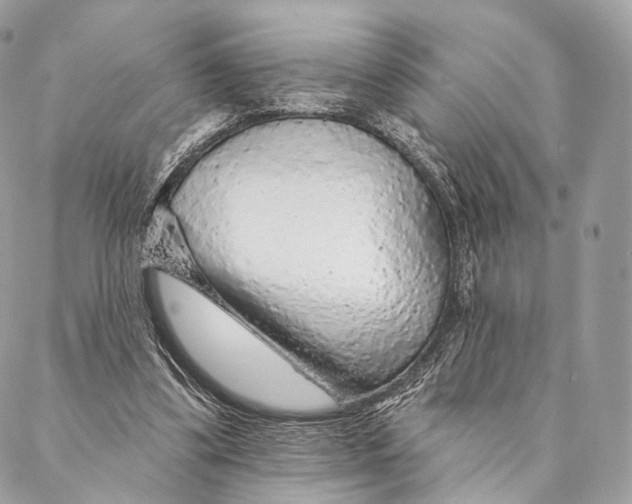 X0000087380299200705111742